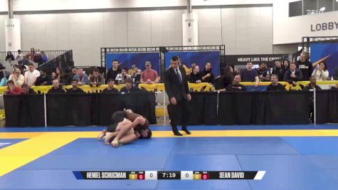 Sean David vs Heniel Schucman 2024 World IBJJF Jiu-Jitsu No-Gi Championship