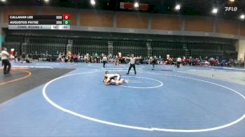 106 lbs Cons. Round 3 - Callahan Lee, Del Oro vs Augustus Payne, Sonoma Valley