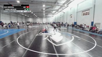 141 lbs Cons. Round 4 - Daniel Metzler, Albright College vs Max DeSousa, Cortland State
