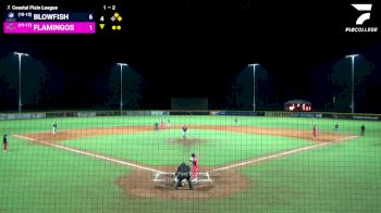 Replay: Home - 2025 Blowfish vs Flamingos | Jul 14 @ 7 PM