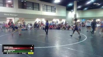 170 lbs Placement Matches (16 Team) - Asa Hemsted, Iowa Gables vs David Hall, Applied Pressure X Kame