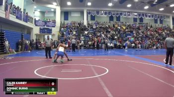 165 lbs Cons. Round 3 - Dominic Burns, Yale vs Caleb Kanney, Findlay