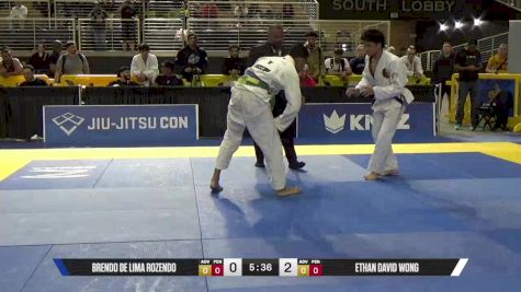 Ethan David Wong vs Brendo De Lima Rozendo 2025 Pan Jiu Jitsu IBJJF Championship