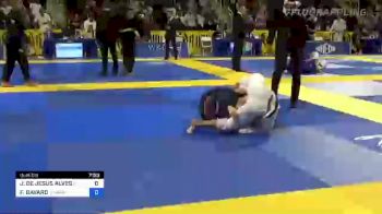 JÚLIA DE JESUS ALVES vs FRANCES BAVARO 2022 World Jiu-Jitsu IBJJF Championship