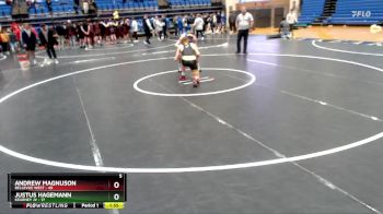 150 lbs Round 5 - Andrew Magnuson, Bellevue West vs Justus Hagemann, Kearney JV
