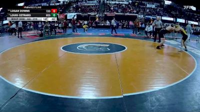 AA - 215 lbs Cons. Round 1 - Louis Cetraro, Helena Capital vs Logan Downs, Flathead (Kalispell)
