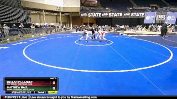 96 lbs Quarterfinal - Declan Mullaney, Mat Demon Wrestling Club vs Matthew Hall, Whatcom Wrestling Academy