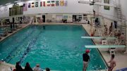 Replay: Diving - 2024 Saginaw Valley vs Northern Michigan | Oct 25 @ 6 PM