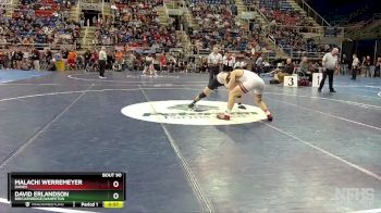 172 lbs Cons. Semi - David Erlandson, Breckenridge/Wahpeton vs Malachi Werremeyer, Davies