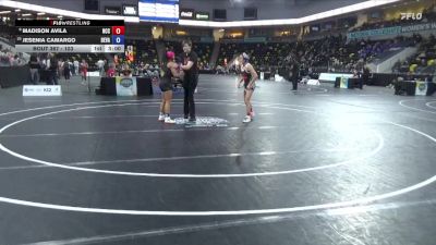 103 lbs Cons. Round 2 - Jesenia Camargo, Delaware Valley vs Madison Avila, North Central College