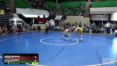 128 lbs Semifinals (8 Team) - Ethan Sharkey, Gulf Shores vs Aiden Bridgman, Tallassee