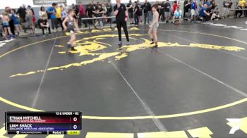 82 lbs Round 2 - Ethan Mitchell, Pioneer Grappling Academy vs Liam Shack, Avalanche Wrestling Association