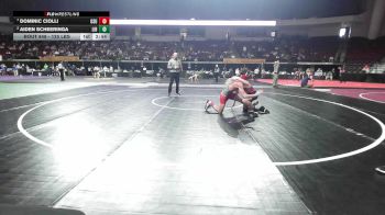 125 lbs Quarterfinal - Dominic Ciolli, Ohio State vs Aiden Scheeringa, Liberty