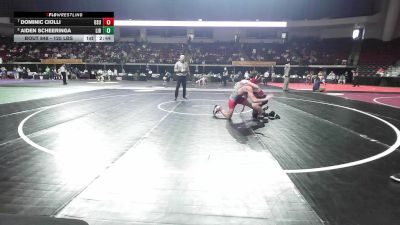 125 lbs Quarterfinal - Dominic Ciolli, Ohio State vs Aiden Scheeringa, Liberty