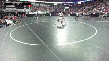 Girls 114 lbs Quarterfinal - Dakotah Athey, Bay Port-Girls vs Daelin Cody, Princeton/Green Lake-Girls