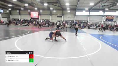 156 lbs Consi Of 8 #2 - Jacob Goodwin, BlackCat WC vs Cole Reason, Team Honey Badgers