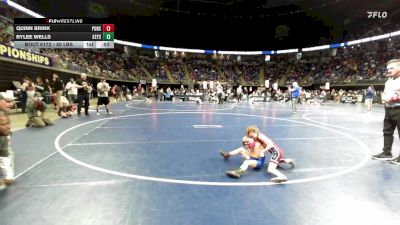 40 lbs Quarterfinal - Quinn Brink, Punxsutawney vs Rylee Wells, Keystone