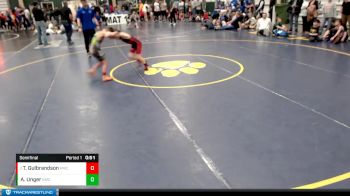 63-68 lbs Semifinal - Tristyn Gulbrandson, HWA vs Arlo Unger, Yuma