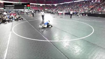 D3-144 lbs Quarterfinal - Roen Carey, Mineral Point vs JJ Adomaitis, Phillips