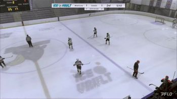 Replay: Home - 2024 Americans vs Comets | Jun 13 @ 9 PM