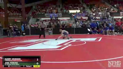 100 lbs Cons. Round 2 - Audry Johnson, Carbondale-Santa Fe Trail vs Joee Perkins, St. George-Rock Creek