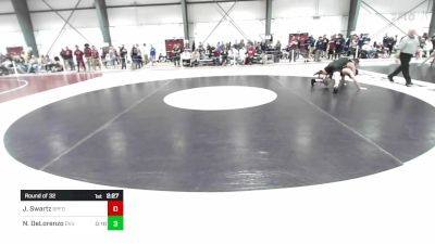 157 lbs Round Of 32 - Jared Swartz, Springfield vs Nicholas DeLorenzo, Delaware Valley