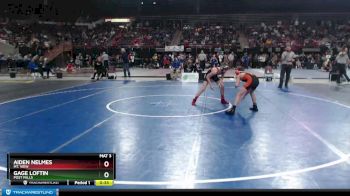 98 lbs Cons. Round 3 - Aiden Nelmes, Mt. View vs Gage Loftin, Post Falls