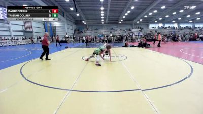 132 lbs Consolation - Dante DePaul, NJ vs Tristan Collier, TN