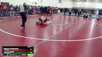 133 lbs Champ. Round 1 - Mikale Goblirsch, Wabasso vs Ethan Hong, Maple Grove