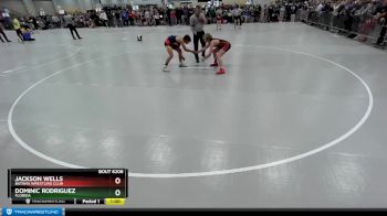 114 lbs Champ. Round 2 - Jackson Wells, Batavia Wrestling Club vs Dominic Rodriguez, Florida