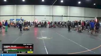 105 lbs Cons. Round 4 - Camren French, Florida vs Gabriel Tellez, Florida