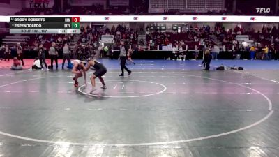157 lbs Cons. Round 3 - Espen Toledo, Skyview vs Brody Roberts, Nampa