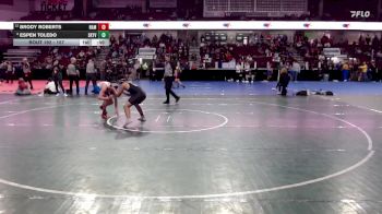 157 lbs Cons. Round 3 - Espen Toledo, Skyview vs Brody Roberts, Nampa