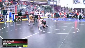 108 lbs Semifinal - Anthony Valls, Chenango Valley Sr HS vs Kadin Cole, Tioga Sr HS