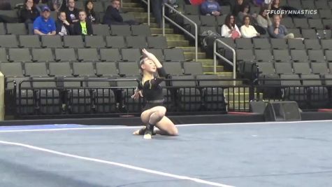 Annie Dockx North Stars - Floor