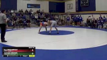 141 lbs Placement (16 Team) - A.J. Pagliarulo, Coast Guard vs Hayden Brown, Johnson & Wales (RI)
