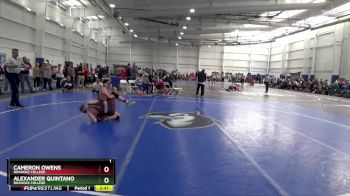 157 lbs Cons. Round 3 - Cameron Owens, Roanoke College vs Alexander Quintano, Roanoke College