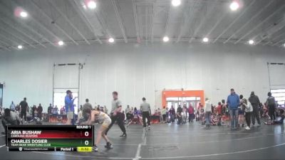 66 lbs Round 1 - Aria Bushaw, Carolina Reapers vs Charles Dosier, Team Bear Wrestling Club