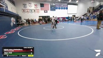 120 lbs Cons. Round 3 - Troy Moe, Buffalo vs Nemo Wallowingbull, Burns/Pine Bluffs