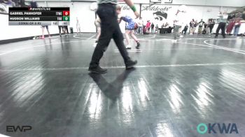 132 lbs Consi Of 8 #2 - Gabriel Panhofer, Team Tulsa Wrestling Club vs Hudson Williams, Tiger Trained Wrestling