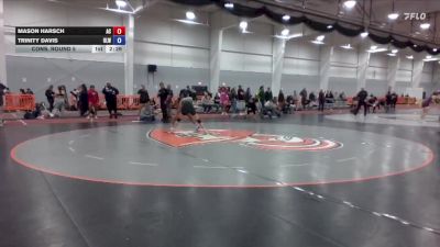 131 lbs Cons. Round 5 - Mason Harsch, Adrian vs Trinity Davis, Unattached - Lindsey Wilson