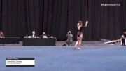Dominika Ziemba - Women's Group, Gymfinity Gymnastics - 2021 Women's Xcel Region 4 Championships