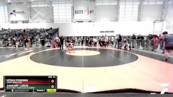 93 lbs Quarterfinal - Zakkary LaRue, Black Belt Wrestling Academy vs Vitalii Pushnin, LeRoy Wrestling