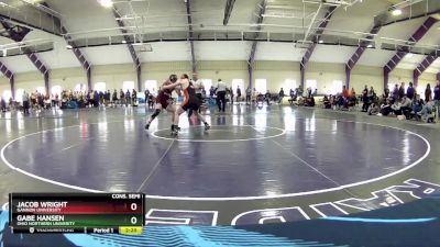 141 lbs Cons. Semi - Jacob Wright, Gannon University vs Gabe Hansen, Ohio Northern Univerity