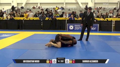 DARRIUS ALEXANDER vs IAN SEBASTIAN WOOD 2025 World IBJJF Jiu-Jitsu No-Gi Championship