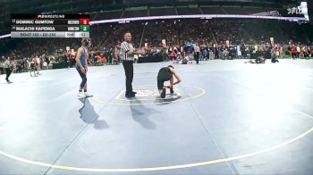 D2-138 lbs Cons. Round 2 - Dominic Gumtow, Warren Woods-Tower HS vs Ethan Moreland, Three Rivers HS