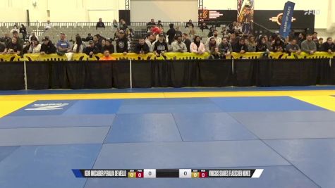 Vinicius Soares Flaeschen Nunes vs Igor Mocaiber Peralva De Mello 2024 World IBJJF Jiu-Jitsu No-Gi Championship