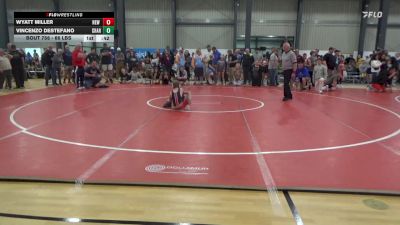 66 lbs Quarterfinal - Wyatt Miller, New Oxford vs Vincenzo Destefano, Charleroi