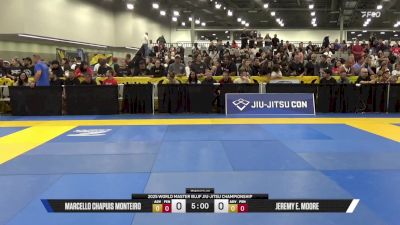 Michael Hagl vs Christopher Allen Ester 2025 World Master IBJJF Jiu-Jitsu Championship
