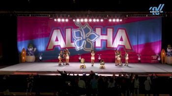 Top Notch All Stars - Leopards [2024 L4.2 Senior - D2 Day 2] 2024 Aloha Gatlinburg Showdown